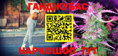 мяу мяу мука Гатчина