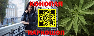мяу мяу мука Гатчина